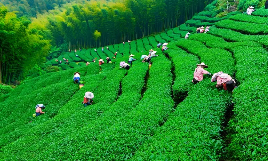 名間秘境