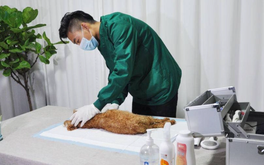 寵物殯葬證照課程