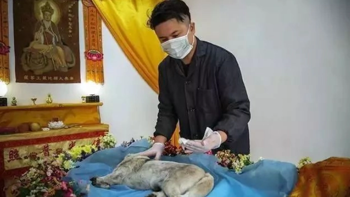 寵物禮儀師培訓 寵物禮儀師培訓