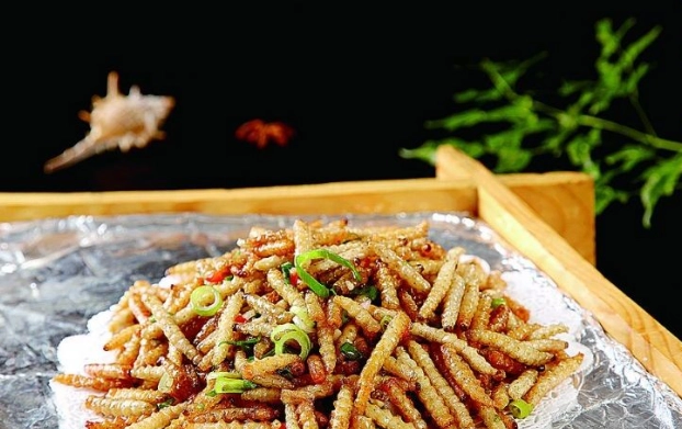 竹節蟲食用 竹節蟲食用