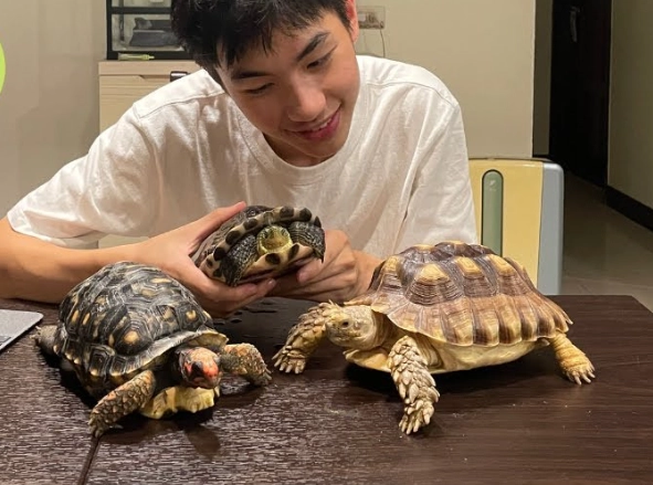 烏龜換水注意事項 烏龜換水注意事項
