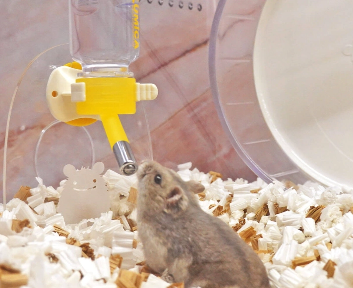 倉鼠飼養安全 倉鼠飼養安全