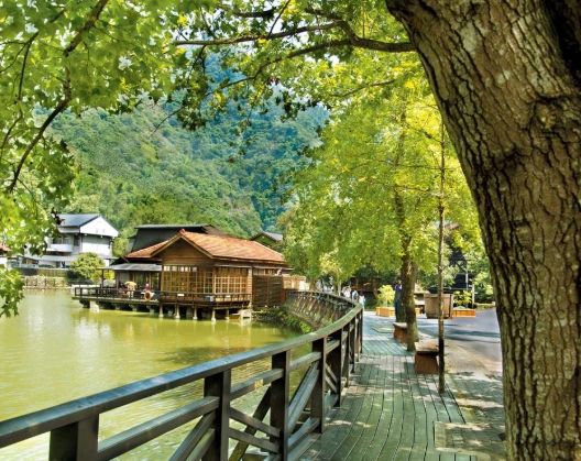 天山農場 天山農場