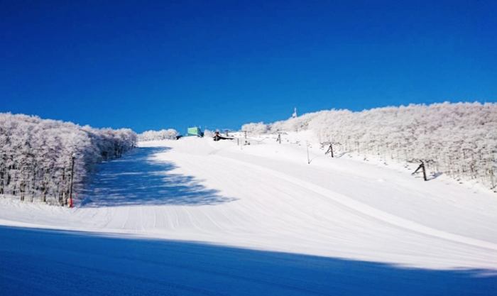 藏王滑雪