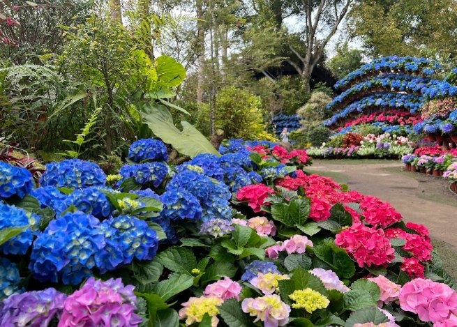 花露農場 花露農場
