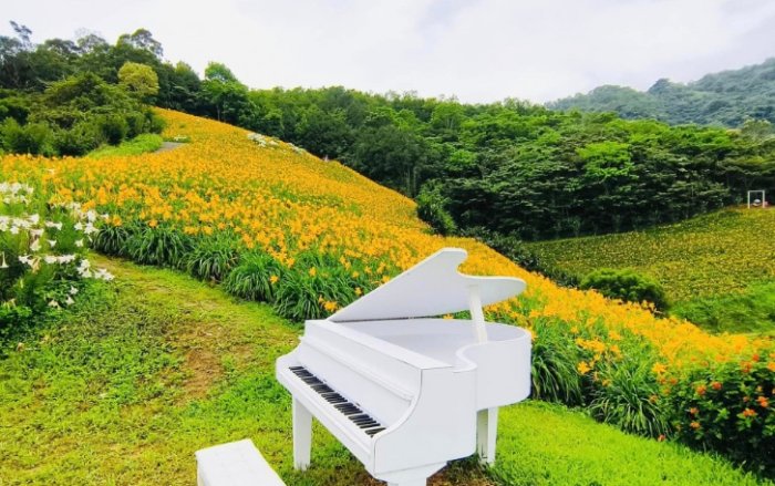 天山農場 天山農場