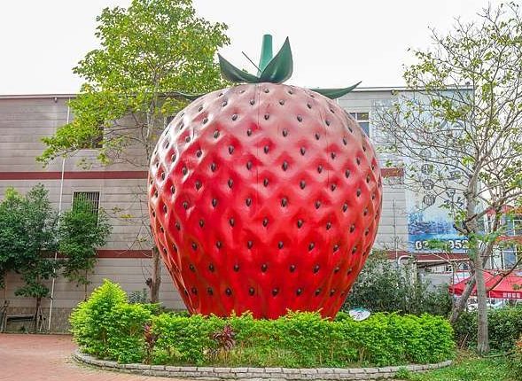 花露農場 花露農場