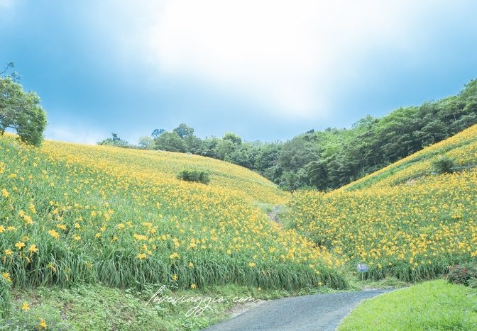 天山農場 天山農場