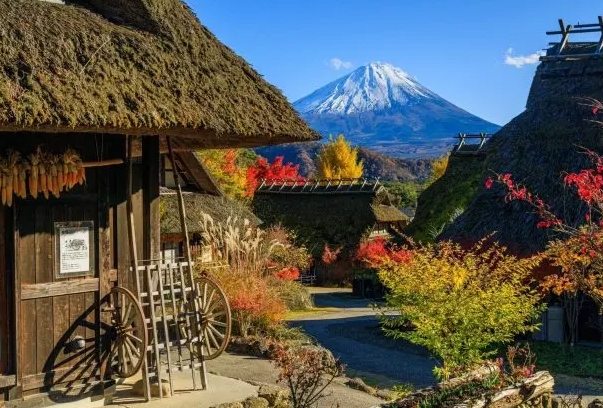 河口湖景點 河口湖景點