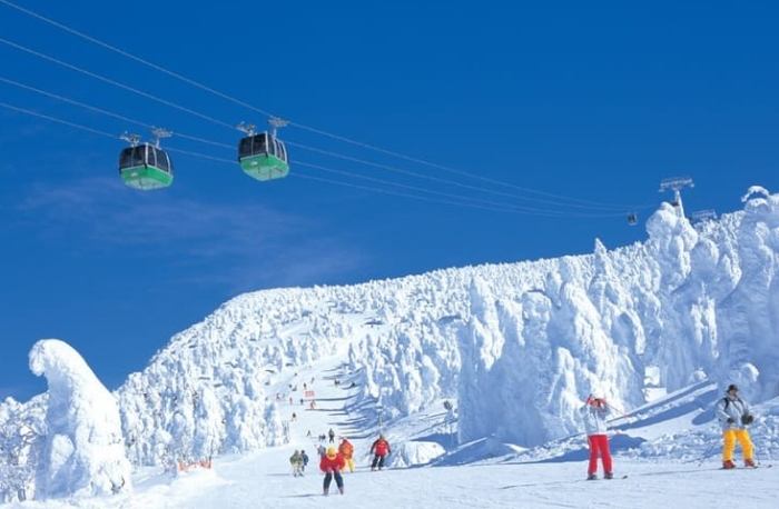 藏王滑雪