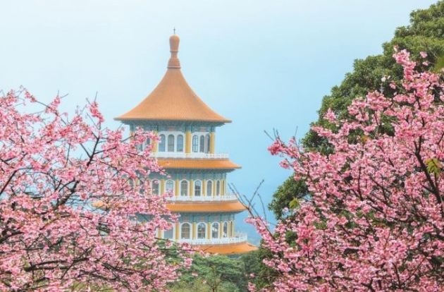 櫻花台北 櫻花台北