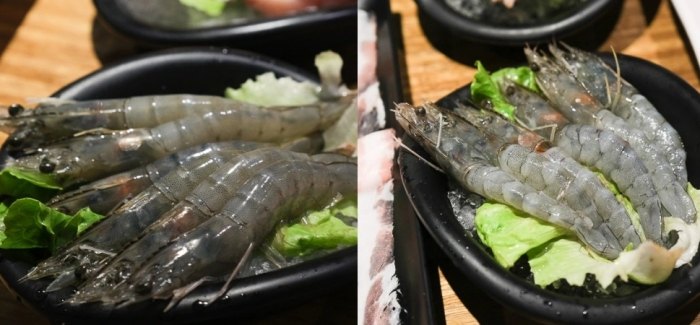 善化吃到飽 善化吃到飽