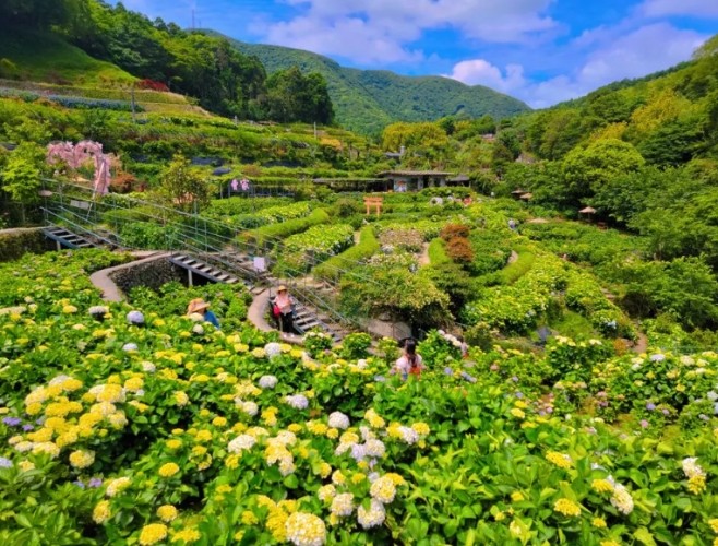 台北農場