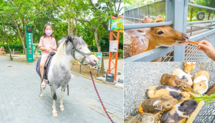 樹谷農場 樹谷農場