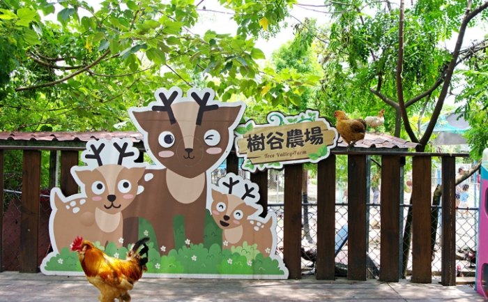 樹谷農場 樹谷農場