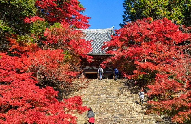 神護寺 神護寺