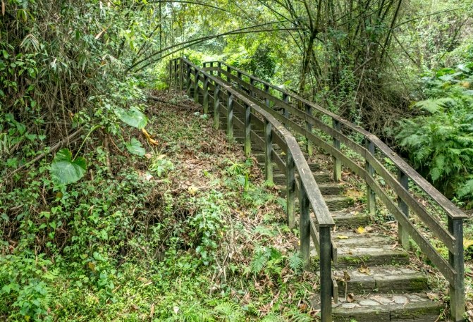 龍泉步道