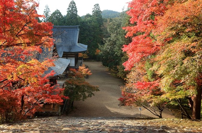 神護寺 神護寺