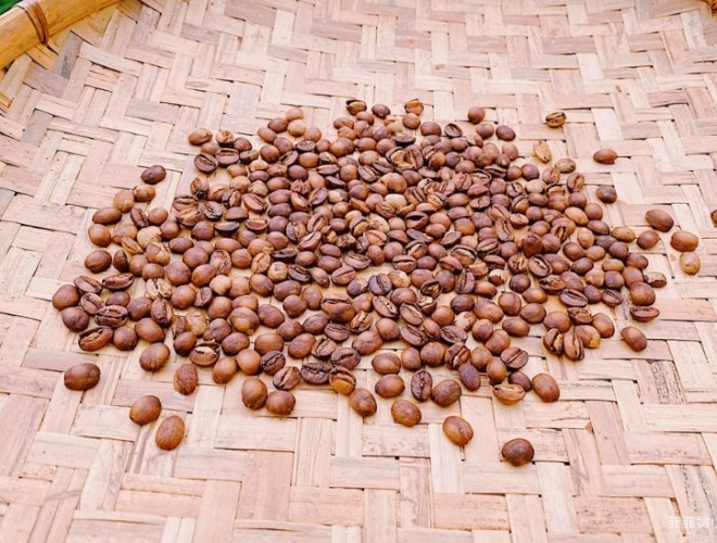 嘉義咖啡豆品種 嘉義咖啡豆品種