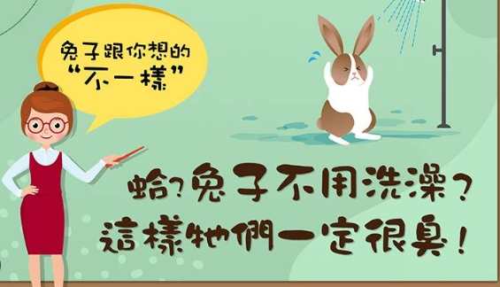 兔子洗澡 兔子洗澡