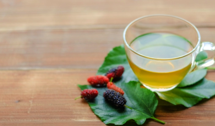 桑葉山楂茶好處 桑葉山楂茶好處