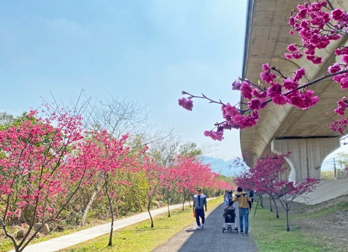 新竹免費去處