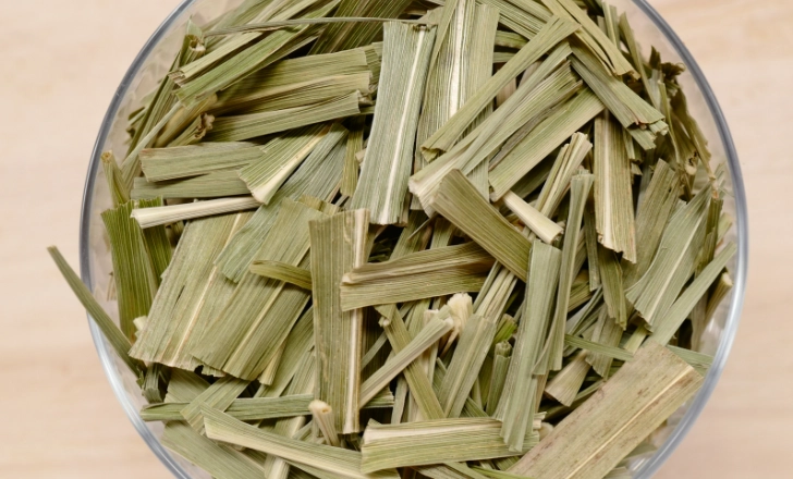 貓咪討厭的植物 貓咪討厭的植物