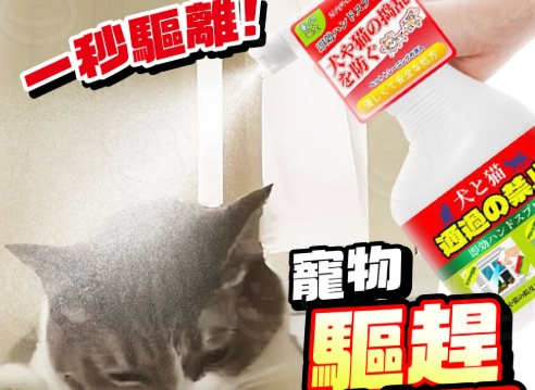 安全驅貓方法 安全驅貓方法