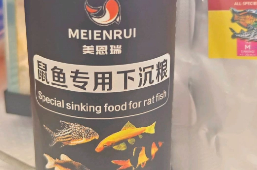 鼠魚飼料推薦 鼠魚飼料推薦