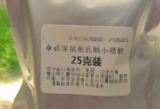 鼠魚飼料推薦 鼠魚飼料推薦