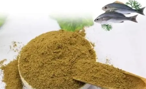 鼠魚飼料推薦 鼠魚飼料推薦