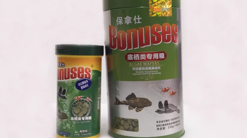 鼠魚餵食技巧 鼠魚餵食技巧