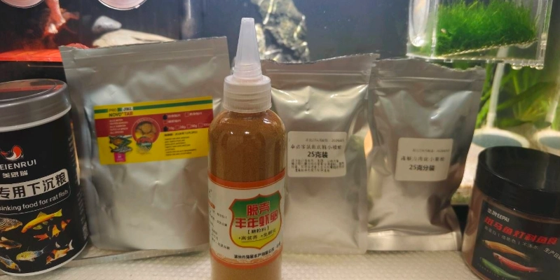 鼠魚餵食技巧 鼠魚餵食技巧