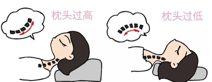 枕頭高度 枕頭高度