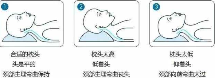 枕頭高度 枕頭高度