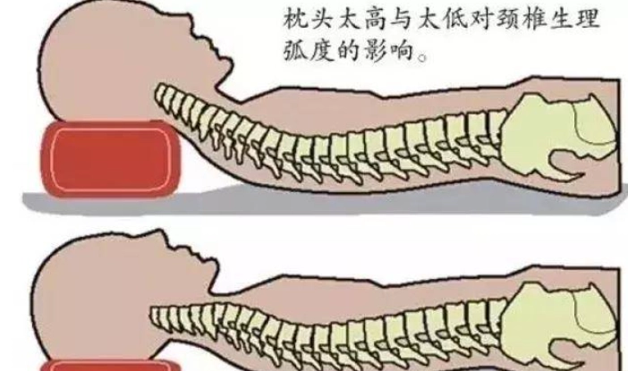 枕頭太高 枕頭太高